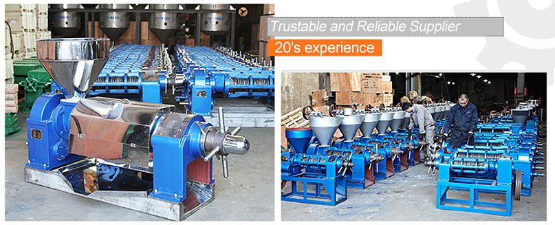 Palm Kernel Oil Processing Machine