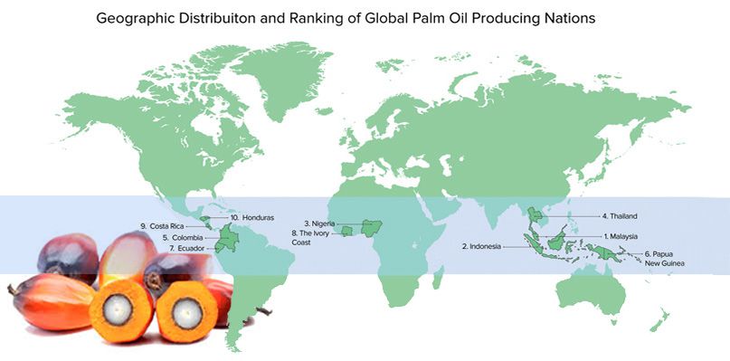 Palm Kernel Oil Producers