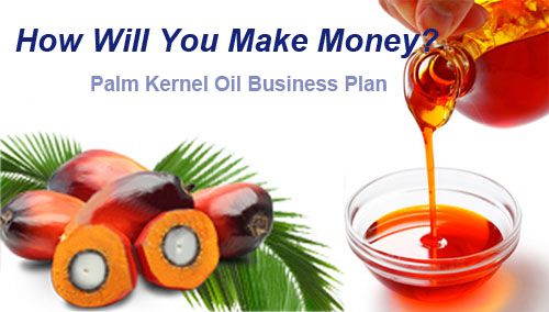 customized business plan for palm kernel oil production