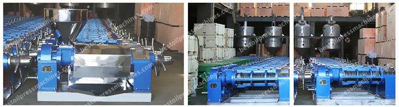 palm kernel oil press machine factory