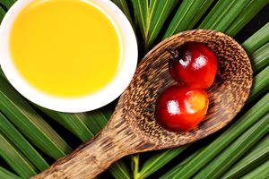 refined palm oil