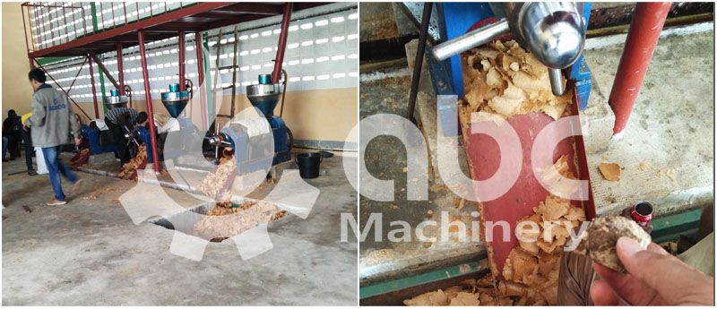 peanut oil press machine test