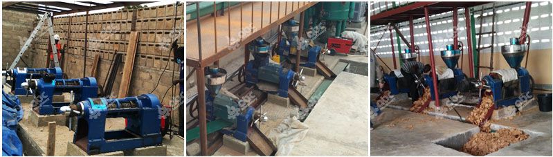 peanut oil press machines in oil mill