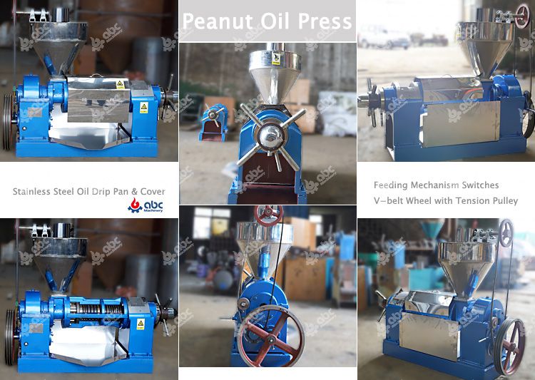 peanut oil press at factory price