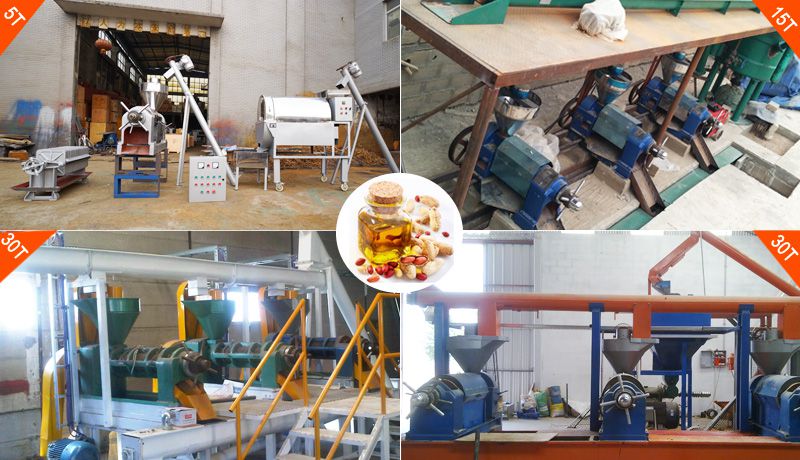 small peanut oil production line at lowest cost