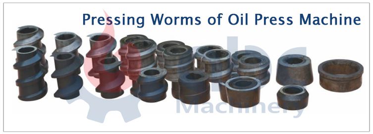 pressing worms of oil press machine
