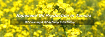 Overall Analysis on Rapeseed Oil Production Line Setup Cost in Tunisia