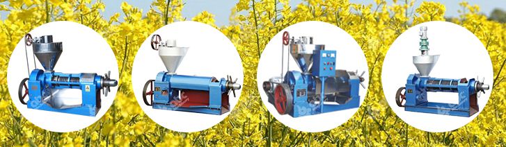 rapeseed oil press machine at competitive price