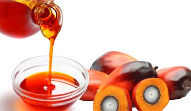 refined palm kernel oil