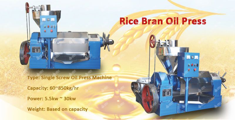 rice bran oil press machine at factory price