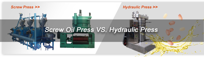 buy cheap peanut oil machine at factory price