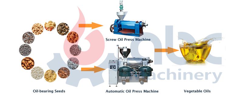 screw oil making machine