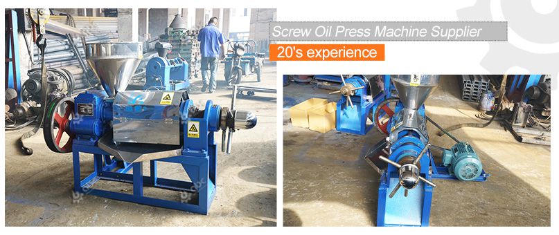 screw oil press machine supplier