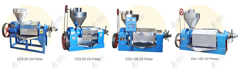 single screw oil press machine at factory price