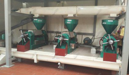 20TPD Automated Sesame Oil Manufacturing Plant in Thailand
