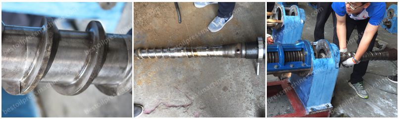 screw shaft of soybean oil machine