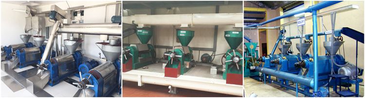 sesame oil manufacturing factory for sales
