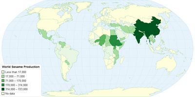 world sesame oil producers