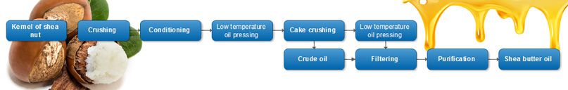 Shea Butter Cold Oil Pressing Process