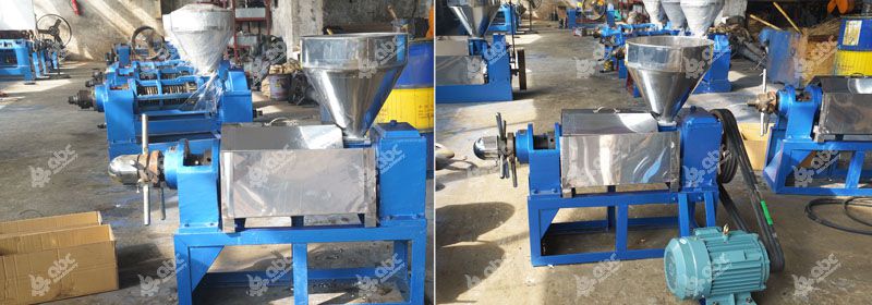 single screw hemp seed oil press for sales