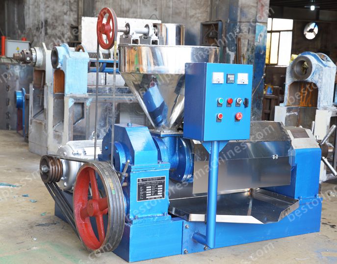 small automatic neem seed oil extraction machine for sales