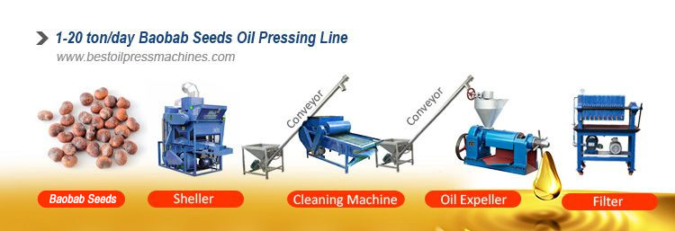 small baobab seed oil production line