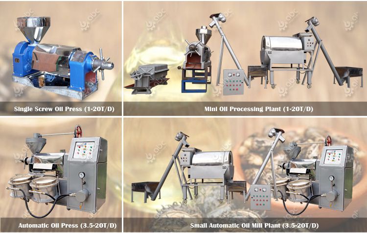 hot sale small castor oil extraction machine at factory price