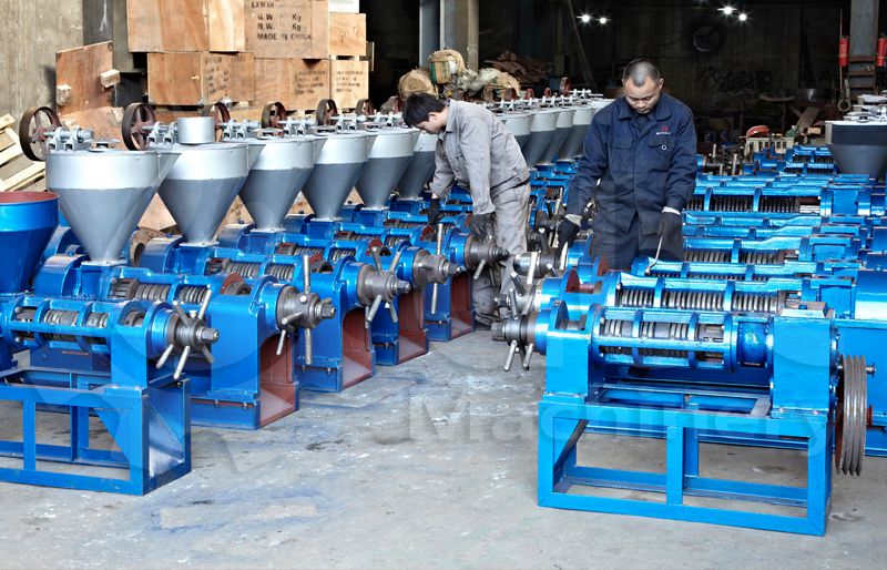 Small Coconut Oil Extraction Production Machine Starts Business Easily