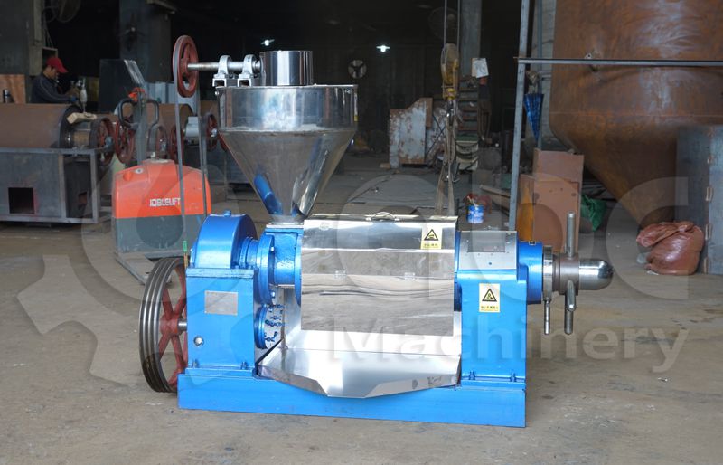 small coconut oil extraction machine at factory price