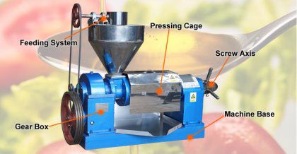 Small Cooking Oil Extraction Unit