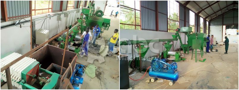 small edible oil mill plant cost