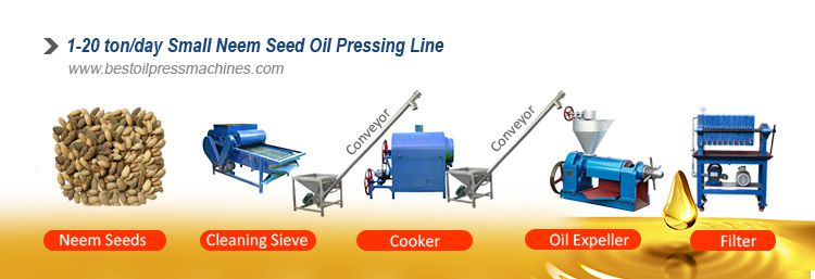 small neem seed oil extraction line for sales
