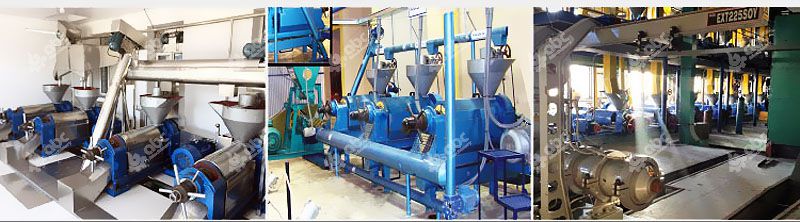 small oil extraction machine at factory price
