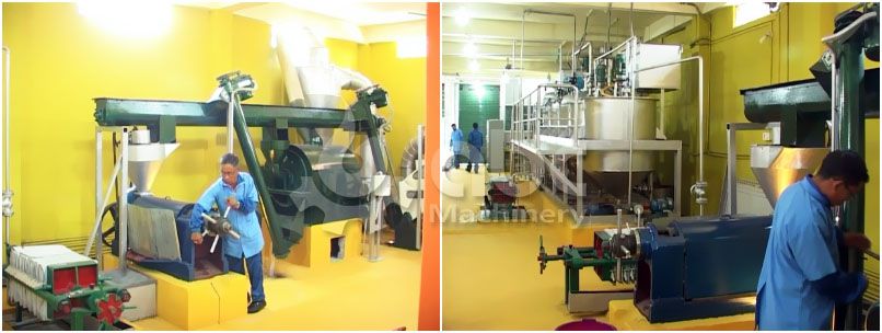 Small oil mill plant cost in India