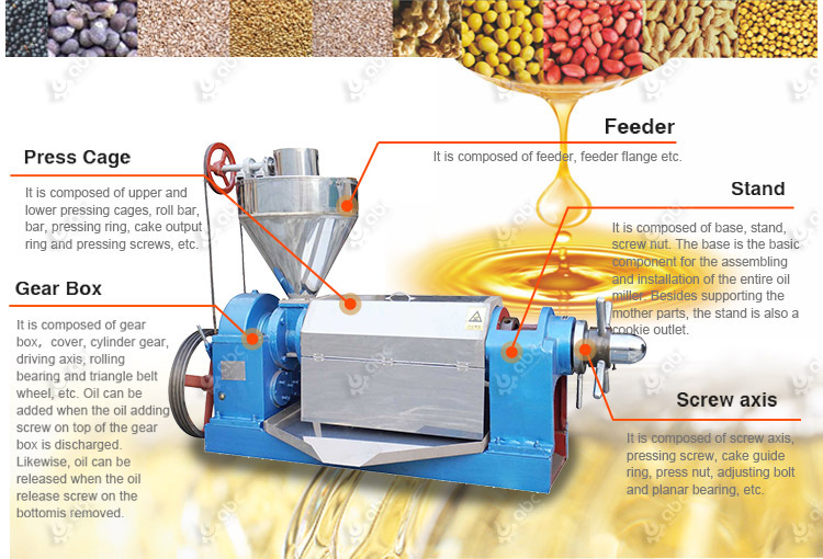 Small Single Screw Oil Press Machine at Factory Price for Sales