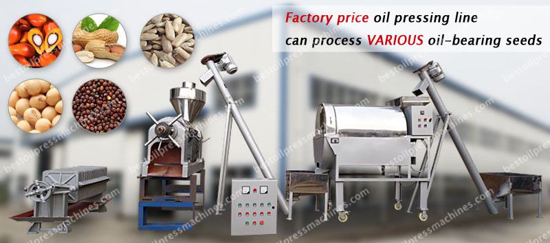 factory price palm kernel oil extraction machine
