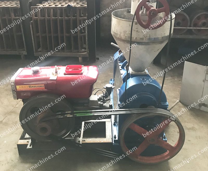 small palm kernel oil press machine at factory price