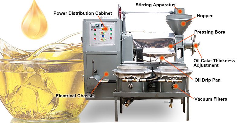 Small Scale Oil Extraction Machine