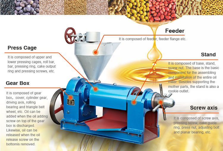 small single screw oil press machine cost