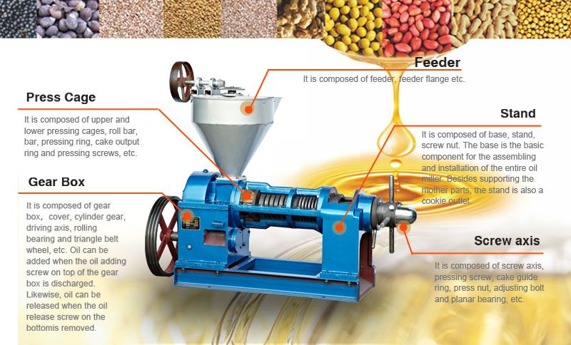 small soybean oil manufacturing unit structure