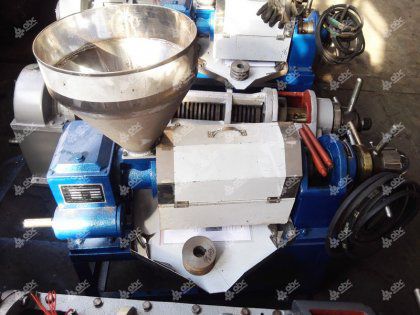 Small Soybean Oil Press Equipment with Spare Parts Exported and Arrived in Mo, USA