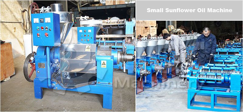 low cost small sunflower oil production machine for sale
