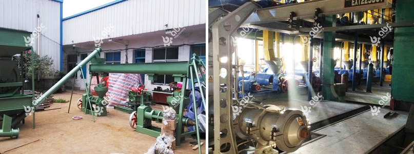 edible soyeban oil manufacturing machine price nigeria africa