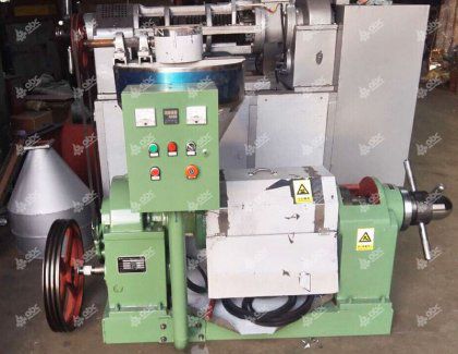 Customized Soybean Oil Expeller Ready for Delivery to Hungary