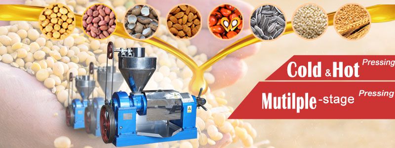 soybean oil extraction machine at factory price