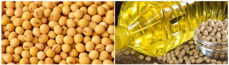 soybean oil