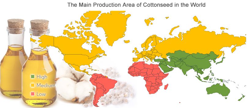 Start Cottonseed Oil Production Business