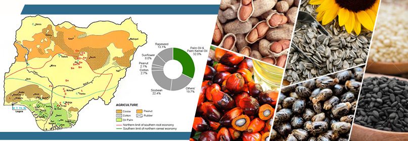 Start Groundnut Oil Extraction Company in Nigeria