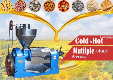 BEST sunflower oil expeller at factory price