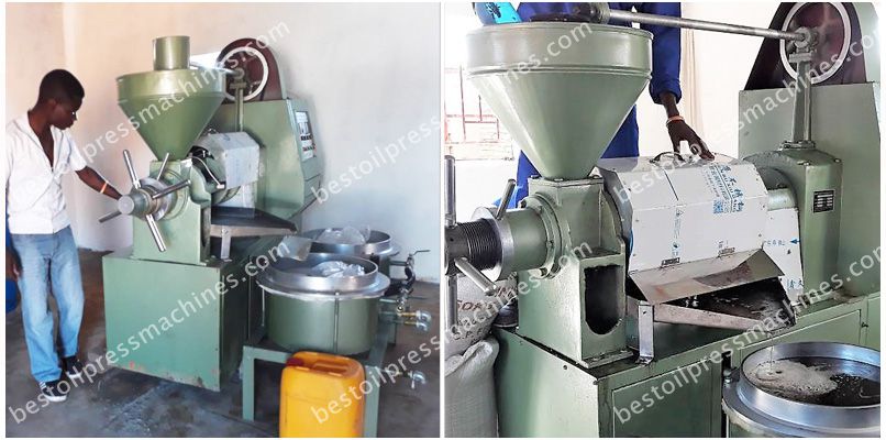 Integrated Sunflower Oil Pressing Machine Working in Malawi